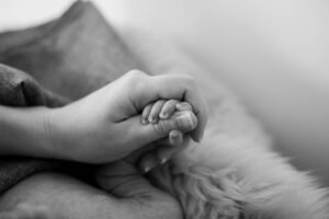 年賀状アプリで住所録を取り込む方法は？