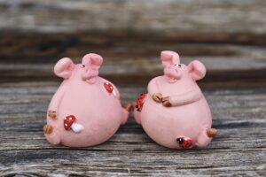 年賀状のデザインはどう選ぶ？