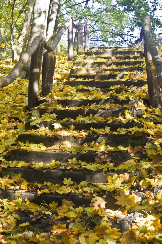 年賀状の予約方法はこれで決まり？