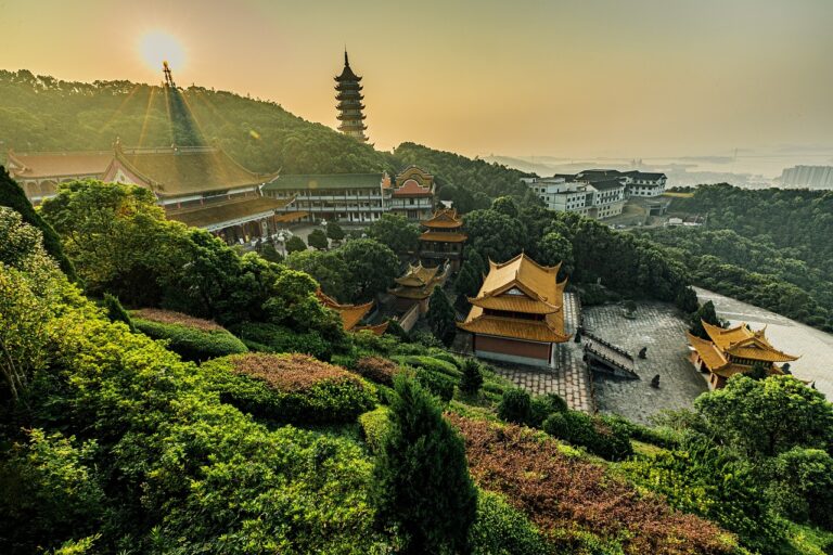 年賀状の画像加工アプリはどれがオススメ？